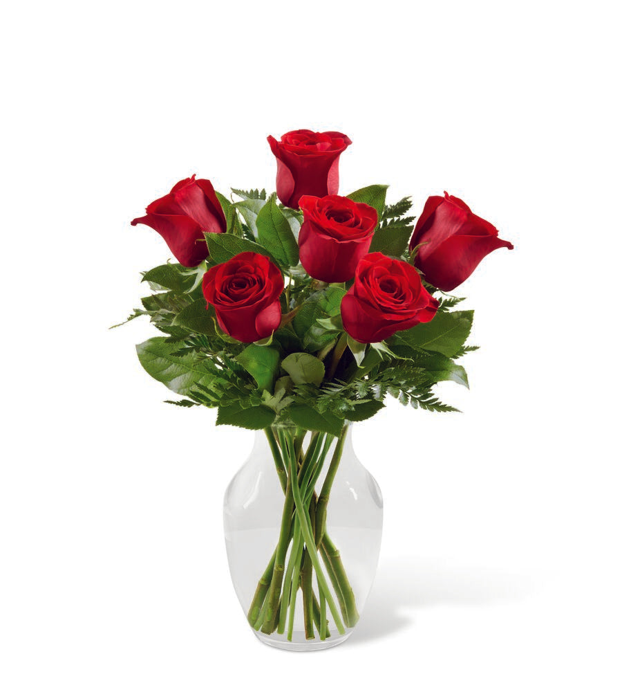 Half Dozen Red Roses in a Vase